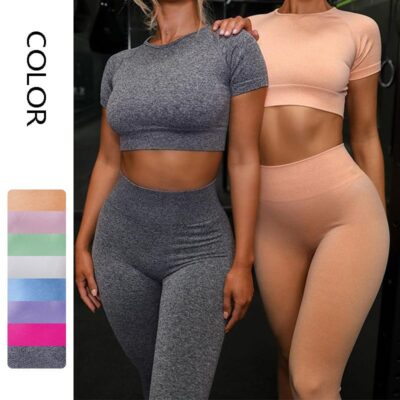 Seamless Yoga Set — Buttery-Soft Leggings + Short Sleeve Top, Women's Active Wear